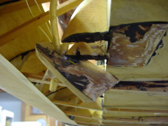 P1010145