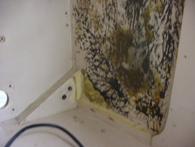 P1010169