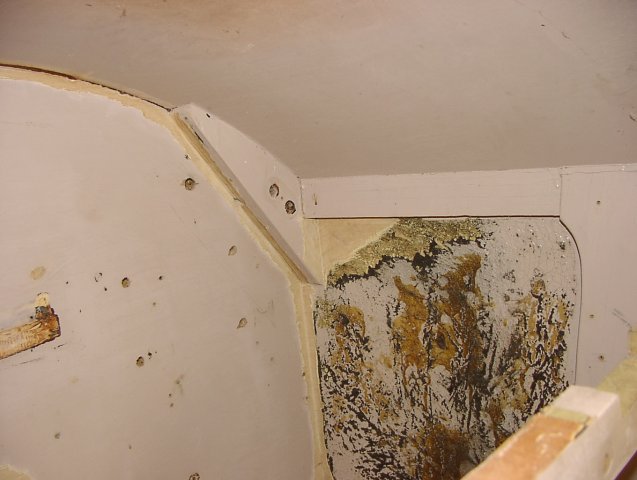 P1010181